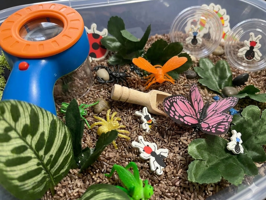 Backyard Bug Hunt Sensory Bin